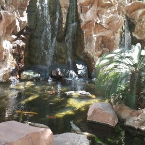 Meet your Posher, Lorenza